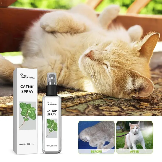 1x Herbal Cat Joy, Spray de hierba gatera para gatos, Spray de hierba gatera para gatos de interior 100 ml/botella
