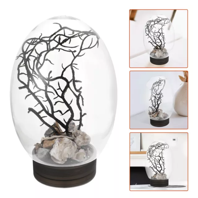 Aquatic Ecosphere Aquarium Starter Kits Desktop Fish Tank Small Terrarium Plant