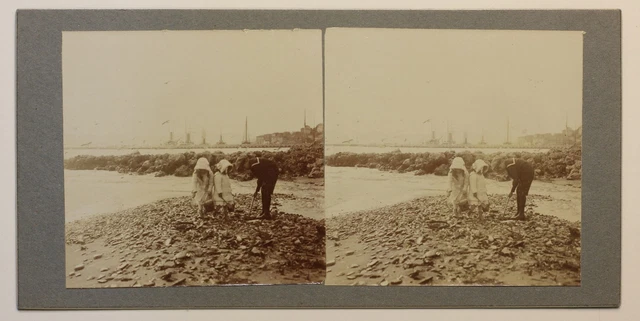 Frankreich Muscheln snapshot Foto Stereo Bastler P49p1n Vintage Citrat