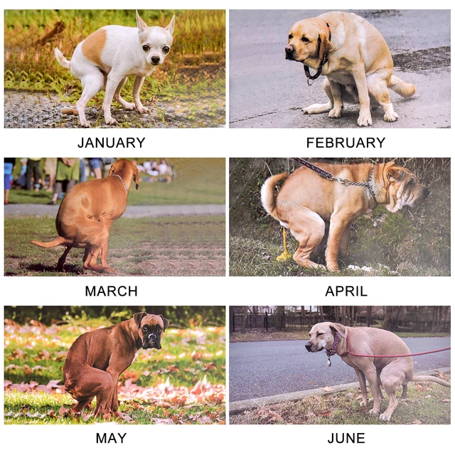 2024 DOG POOPING Calendar, Funny Calendar for Home/Office,Funny Gift