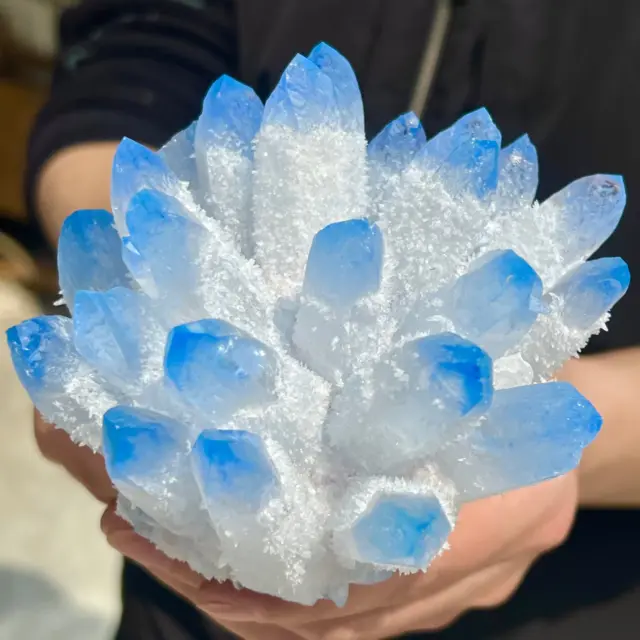 1.44LB New Find Blue Phantom Quartz Crystal Cluster Mineral Specimen Healing.