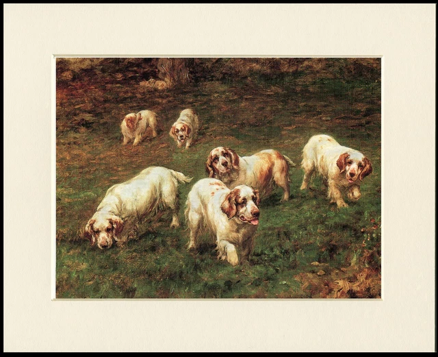 Clumber Spaniel Dogs Lovely Dog Art Print Mounted Ready To Frame