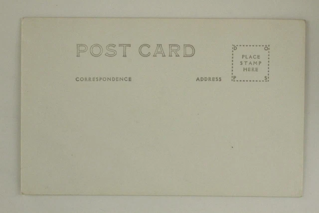 Vintage RPPC Postcard TULIP TIME FESTIVAL Holland Michigan Downtown Parade 2