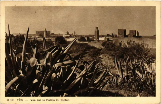 CPA AK MAROC FES - Vue sur le Palais du Sultan (219319)