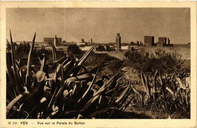 CPA AK MOROCCO FES - View of the Sultan's Palace (219319)