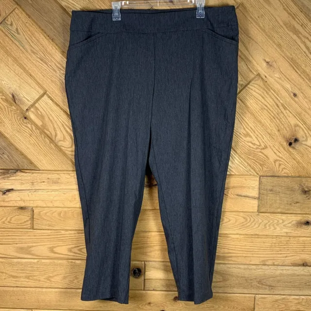 TERRA SKY WOMENS Petite Ankle Pants Stretch Flat Front Gray Size 2X 20W-22W  £14.18 - PicClick UK