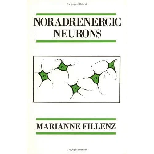 Noradrenergic neurons - Paperback NEW Marianne Fillen 1990-05-25