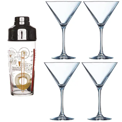 5 PIECE COCKTAIL SET - Martini Glasses