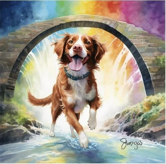 WATERCOLOR BRITTANY SPANIEL Rainbow Bridge Painting Art Print 8x11