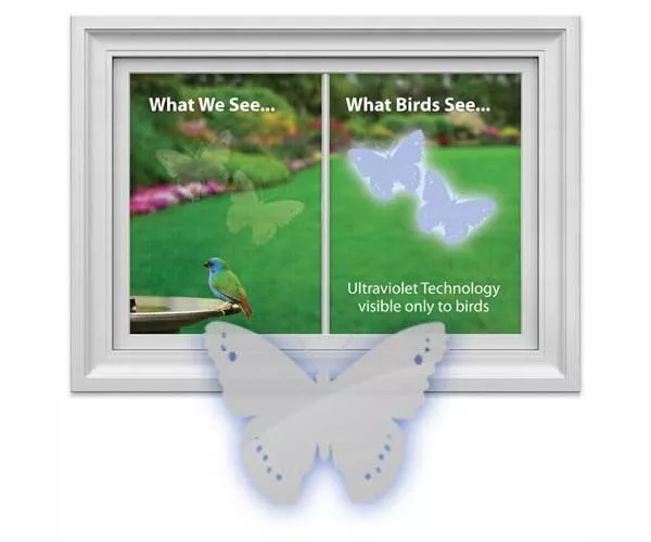 Window Alert Decal Static Cling BUTTERFLY, 4 per Package Protect Birds USA