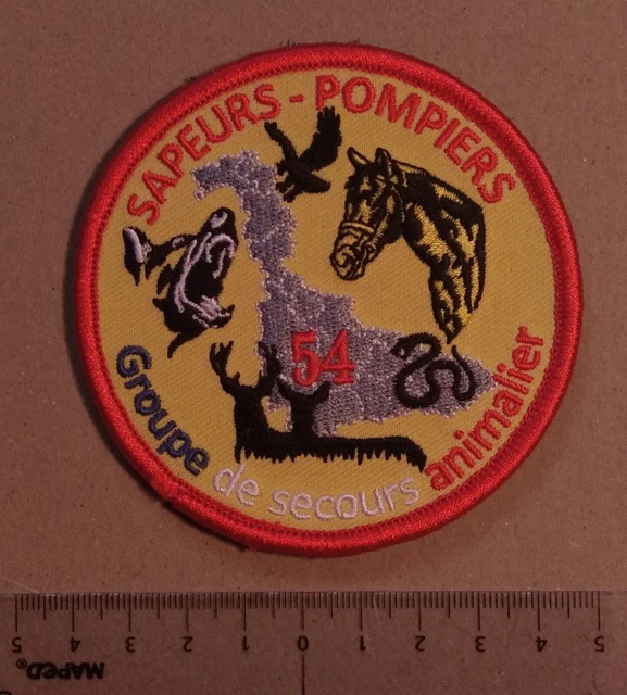 Insigne Ancien SAPEURS POMPIERS Du Finistère - Modèle Obsolète Original | Occasion Authentique