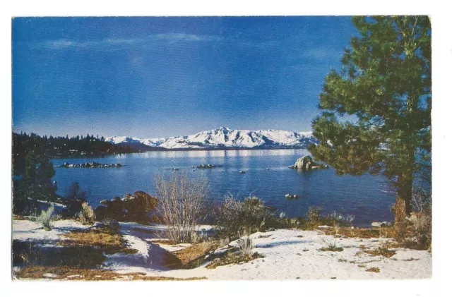 Lake Tahoe California CA Postcard Winter