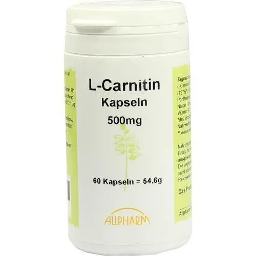 L-CARNITIN 500 mg Kapseln 60 St PZN 3386796
