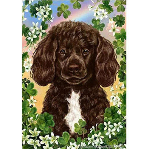 Clover House Flag - Chocolate and White Portuguese Water Dog 31914