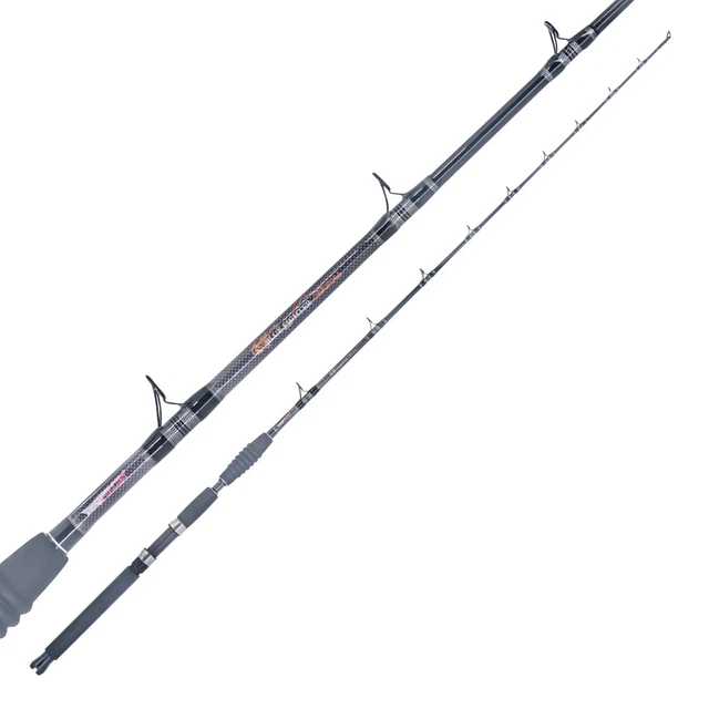 CANNE À PÊCHE de La Bateau Bolentino FALCON Hercules 2 Vette 300 CM - 50/200 G EUR 116,70 - FR
