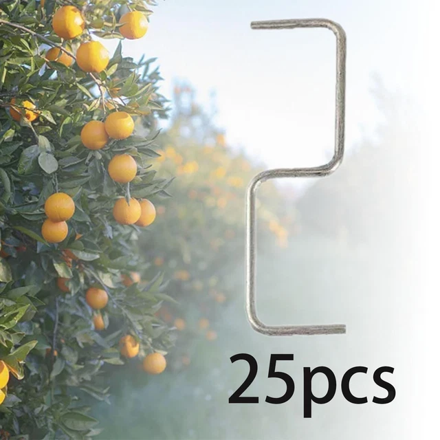 20 PCS Épandeur De Branches Arbre En Forme M - Supports Pour Arbres Fruitiers 10cm