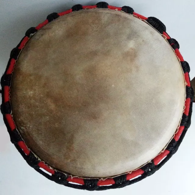Pro Quality Mahogany Wood Bongo Djembe Drum Tribal Carved Black 50Cm 9-9.5" Head 3