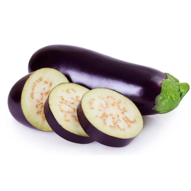 Black Beauty Eggplant - Seeds - Organic - Non Gmo - Heirloom Seeds
