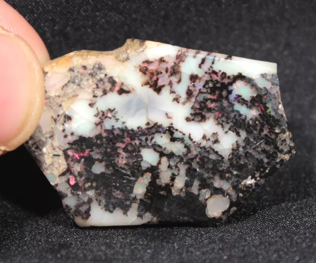 39.5 ct Opalized Wood w/ bark from Virgin Valley Nevada - precious stable opal!