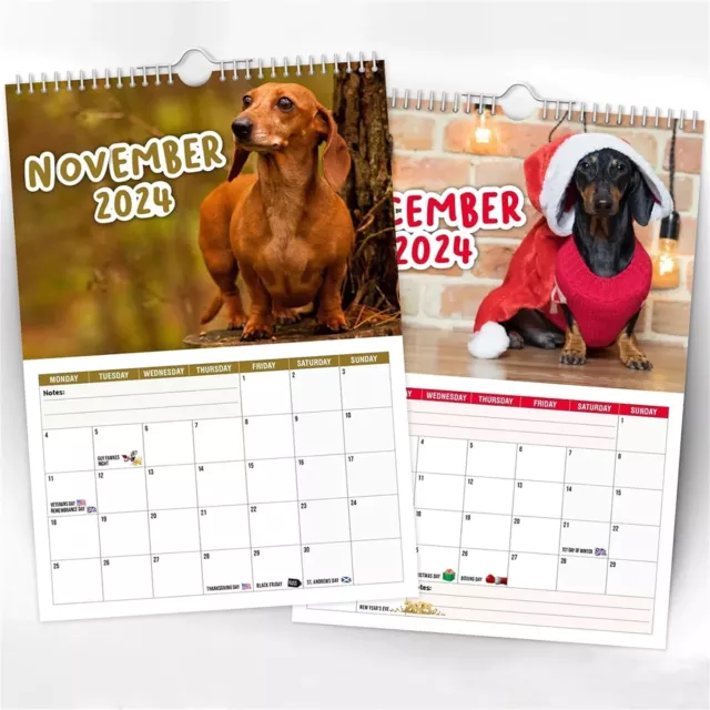 Cheeky Dachshunds -Funny Dog Album Cover Calendar 2024 Novelty Dog Calendars 2