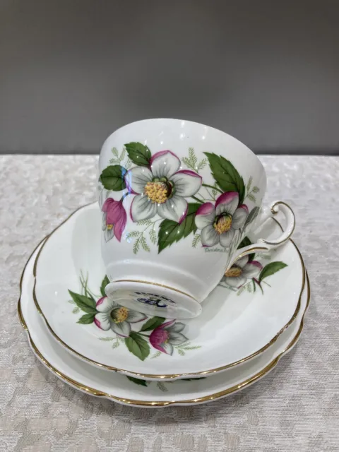 Vintage Regency English Bone China Trio Cup Saucer & Tea Plate Christmas Rose