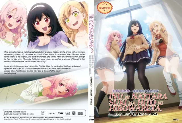 Anime DVD Kami-Tachi Ni Hirowareta Otoko Season 2(1-12End)Eng Dub