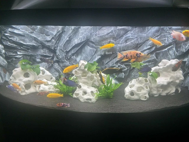 Aquarium Steine Deko Lochgestein Resin (Gebraucht) In Illnau Für CHF 30 – Nur Abholung Auf
