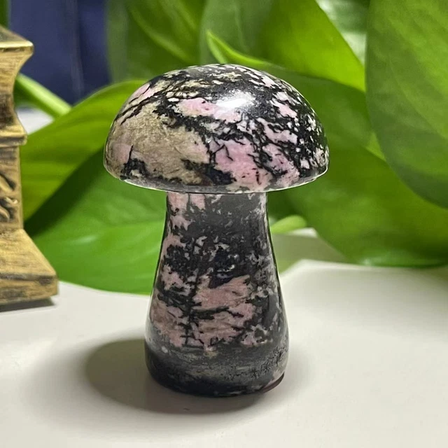 2" Natural rhodonite quartz hand carved crystal mushroom gem reiki healing 1pc