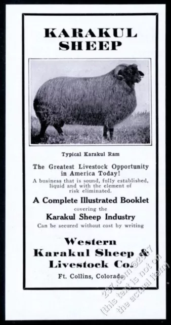 1940 Karakul Sheep photo Colorado breeder vintage print ad