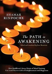 The Path To Awakening: How Buddhism's Seven Points of Mi... | Buch | Zustand gut