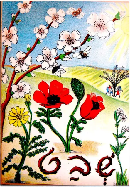 1950 Israel CHILDREN BOOK Jewish LITHOGRAPH Flowers BARLEVY Judaica FLORA Hebrew