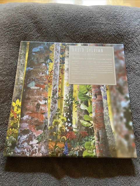 Do You Know Me Now? (10CD) David Sylvian