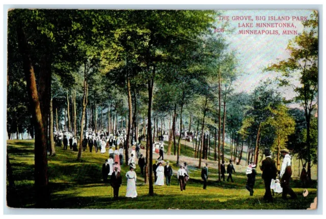 1909 The Grove Big Island Park Lake Minnetonka Minneapolis MN Lemmon SD Postcard