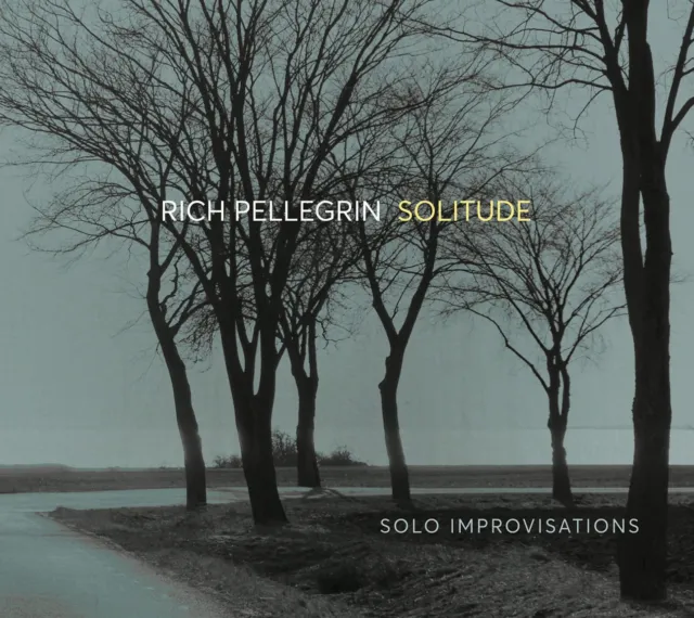 Rich Pellegrin Solitude: Solo Improvisations CD OA222189 NEW