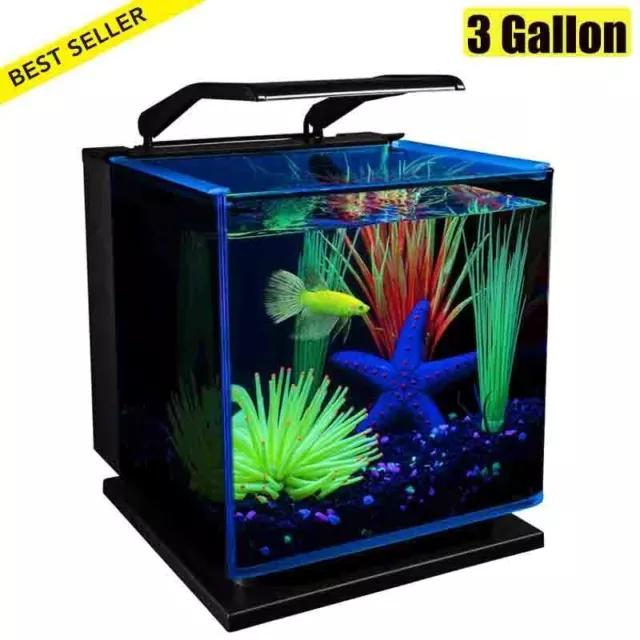 Shadowbox Aquarium Kit 3 Gallon Bettas Landscape W/ Filter LED Lighting Freeship
