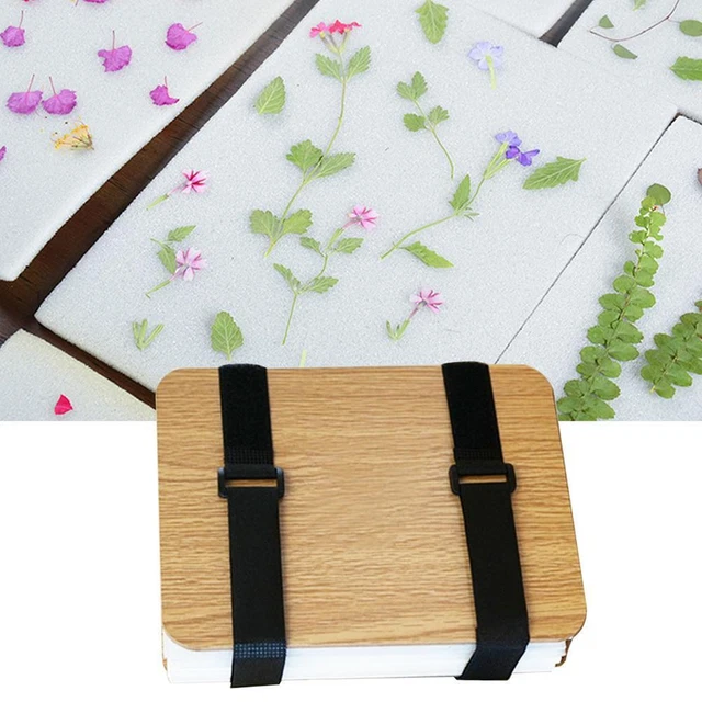 Wooden Flower Press Kit For Kids, Plant Specimen Pressing For Beginne Set B7H9