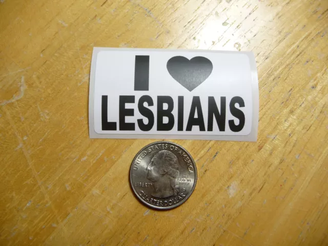 I Love Lesbians Decal Sticker Gay Pride Homosexual Date Funny Joke Gag Prank