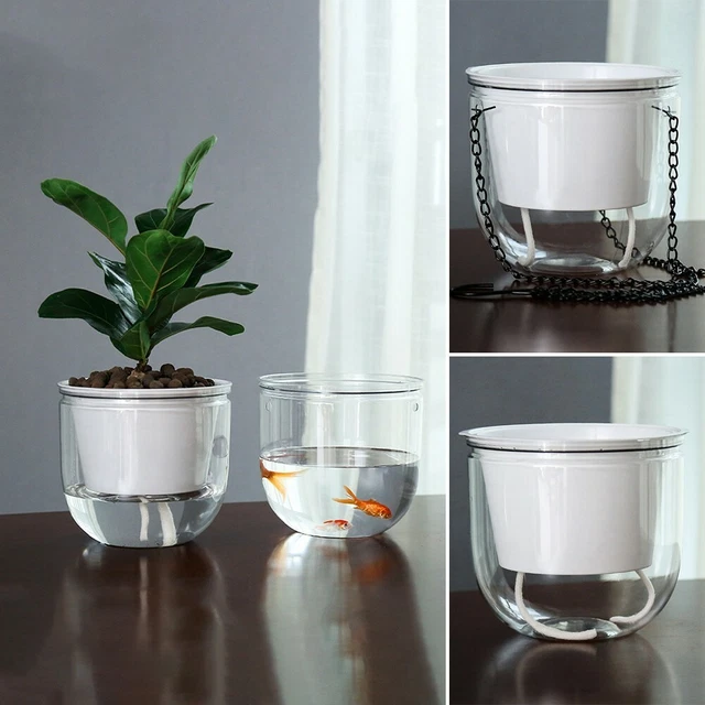 Idroponica Pianta Vasi Vaso di Fiori Trasparente Cornice IN Legno da Tavolo