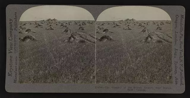 The granary of the British Empire near Regina Sask Canada Old Photo