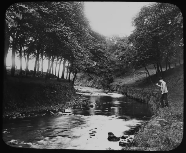 FOULDS WOOD COLNE LANCASHIRE C1910 ALTES FOTO magische Laterne Folie