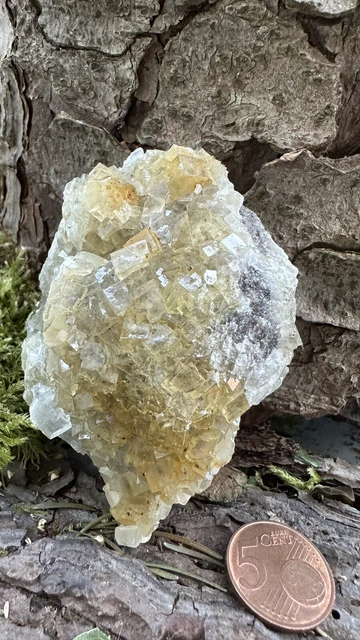 Großer Moscona Fluorit (Spanien) aus Mineralien Sammlung Auflösung Konvolut