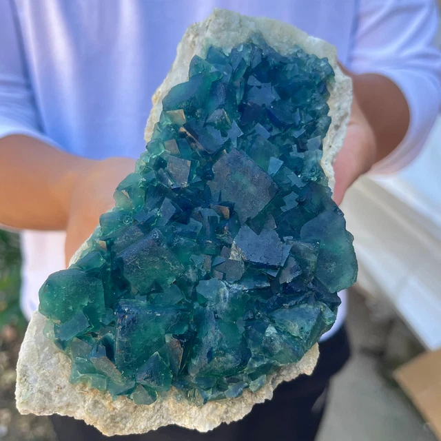 1.6LB NATURAL Green FLUORITE Quartz Crystal Cluster Mineral Specimen.