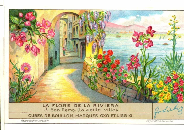 S1354- Chromo Liebig - 1937 -  " La Flore De La Riviera " : 3. San Remo