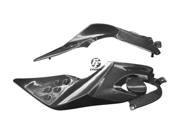 Carbon Side Panels for BMW K1300R 2