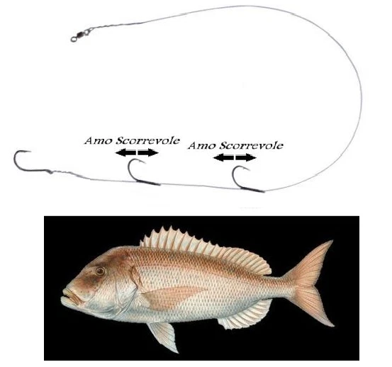 Raffio Big Game Extra Forte Per Pesca Al Tonno E Dentice | Arpione Per Traina E Drifting