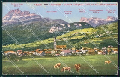 Belluno Cortina d'Ampezzo Mappa Mucche cartolina VK4087 