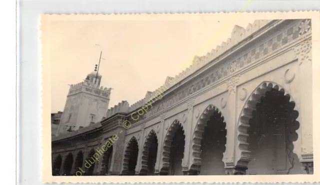 Format CPA Photo RPPC ALGERIE Alger n45 Grande Mosquée