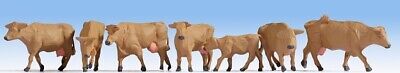 Vaches , brunes,NOC15727, échelle,NOCH