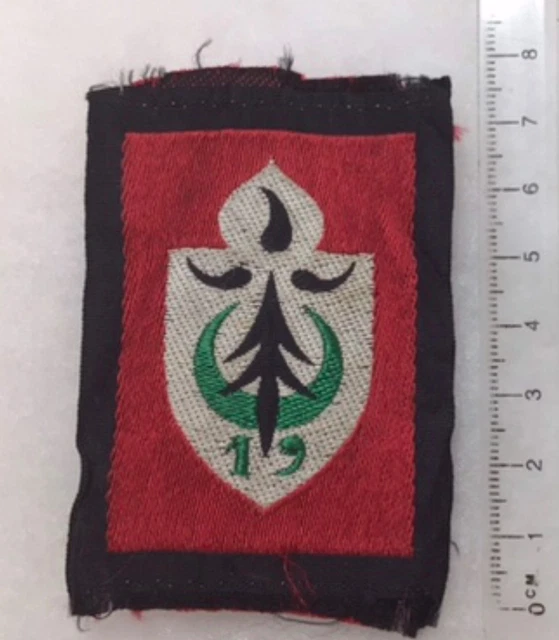 Ecusson Tissu 19e Division D'infanterie Algérie – Insigne Ancien, Usures, Collection