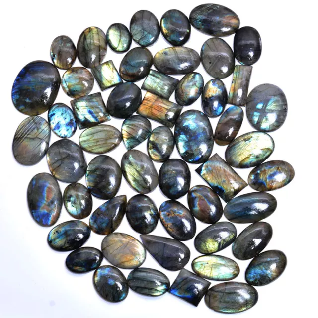 2622 Cts Top Quality 100% Natural Labradorite Multi Shine Cabochon Gemstones Lot